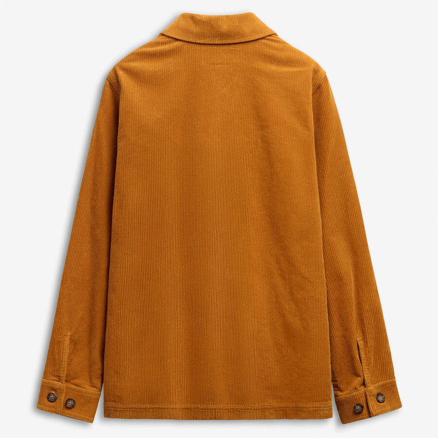 dorr panadero amarillo tan