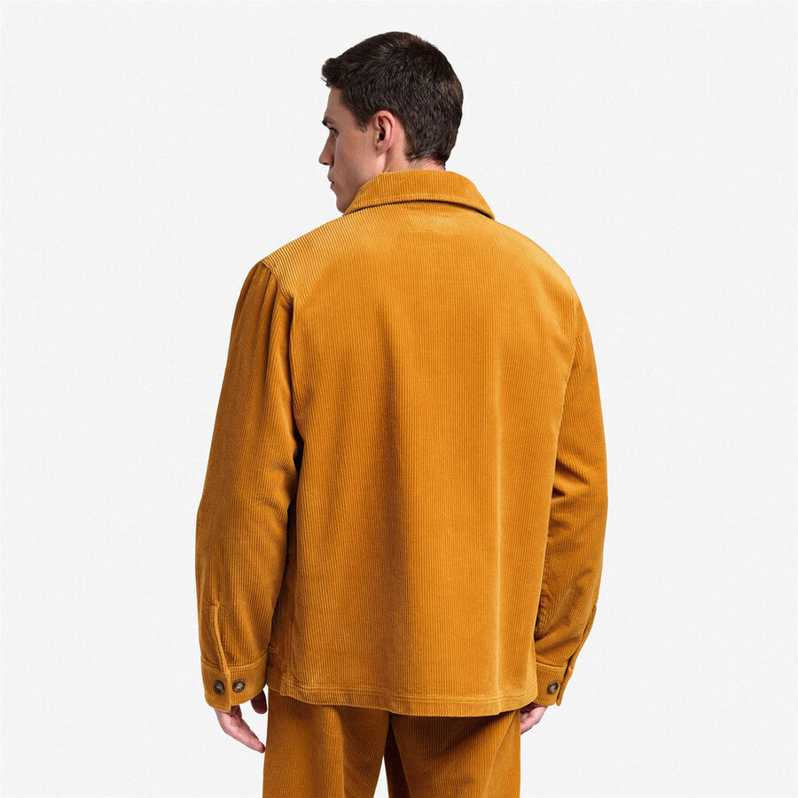 dorr panadero amarillo tan