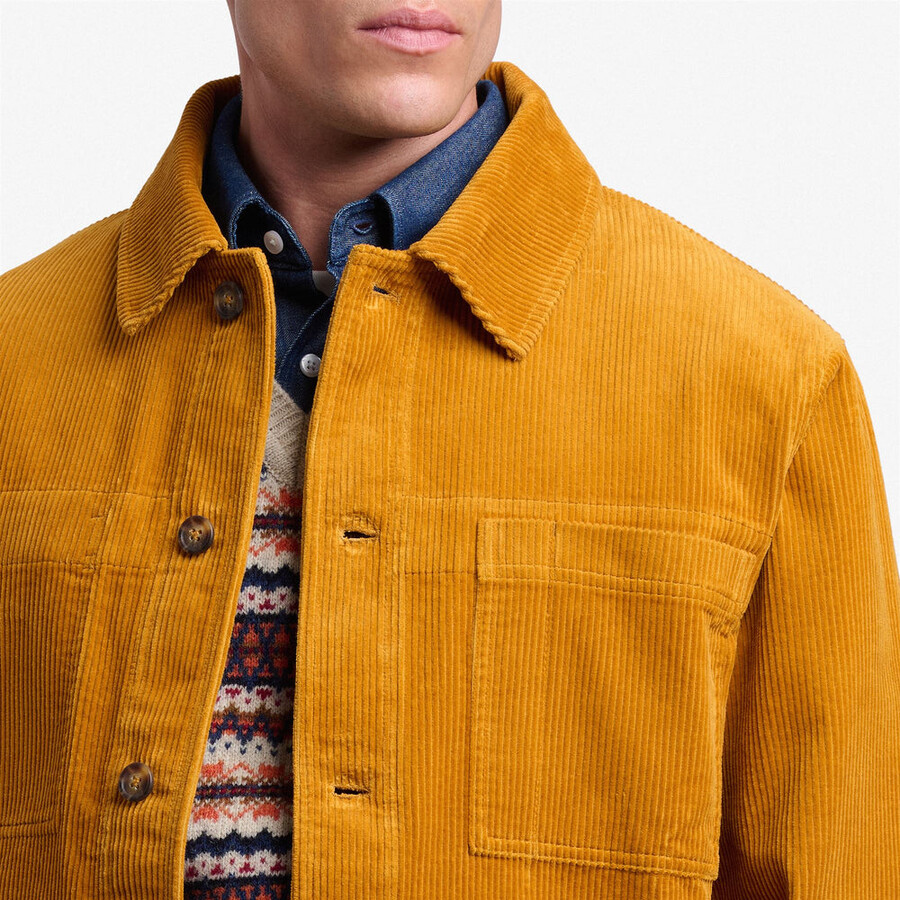 dorr panadero amarillo tan