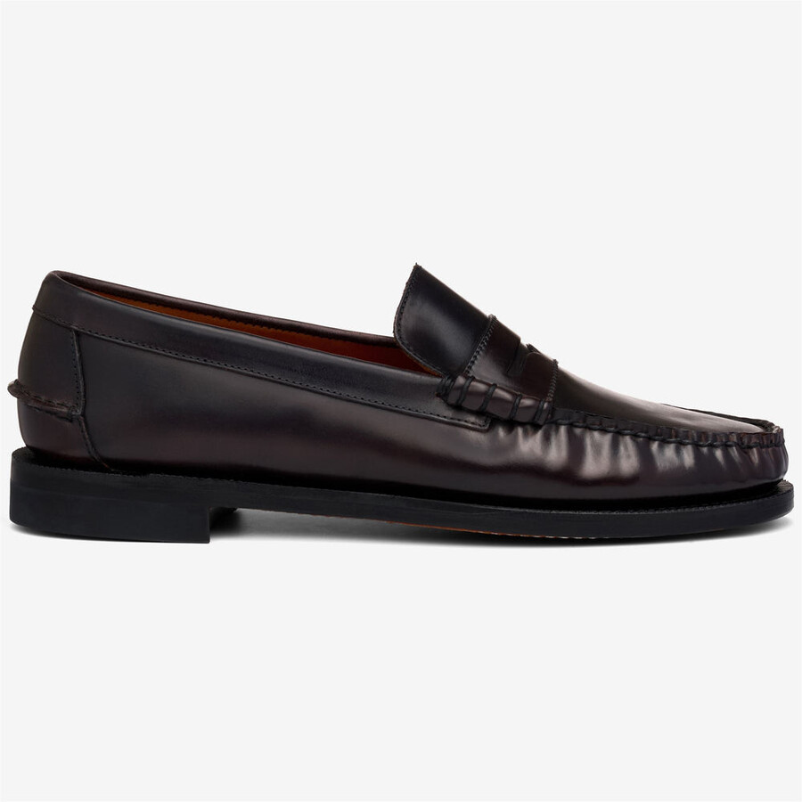 classic dan shell cordovan negro